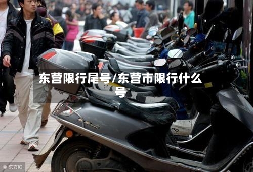 东营限行尾号/东营市限行什么号-第2张图片