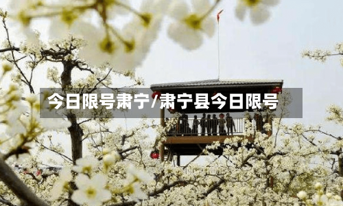 今日限号肃宁/肃宁县今日限号