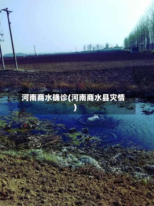 河南商水确诊(河南商水县灾情)-第2张图片