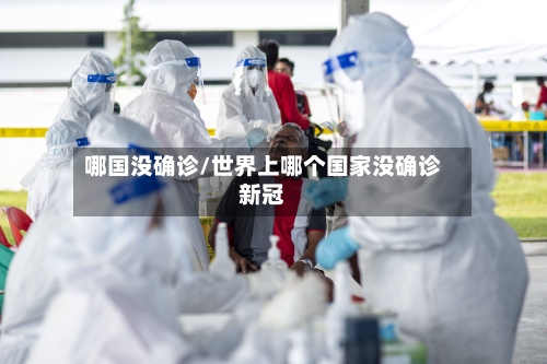 哪国没确诊/世界上哪个国家没确诊新冠-第3张图片