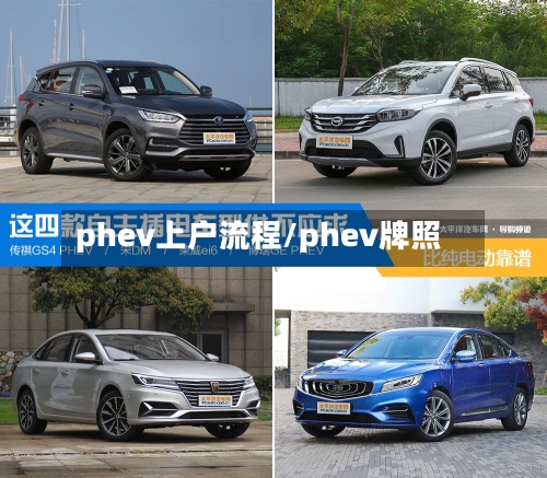 phev上户流程/phev牌照