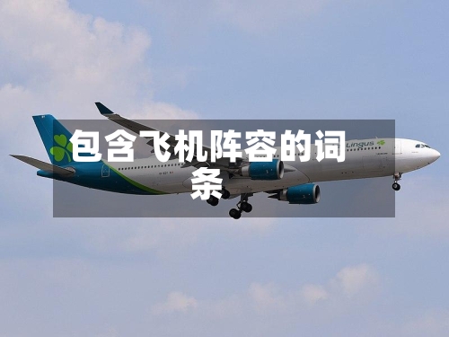 包含飞机阵容的词条-第3张图片