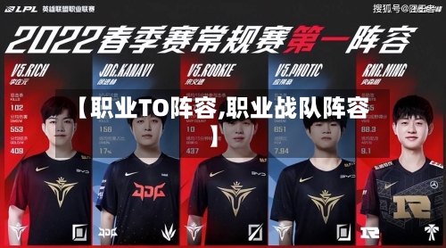 【职业TO阵容,职业战队阵容】