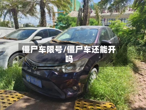 僵尸车限号/僵尸车还能开吗