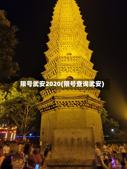 限号武安2020(限号查询武安)