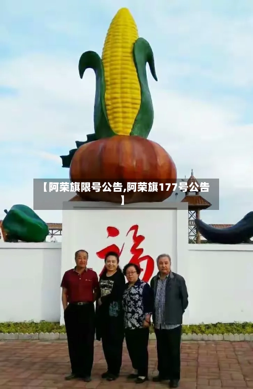 【阿荣旗限号公告,阿荣旗177号公告】
