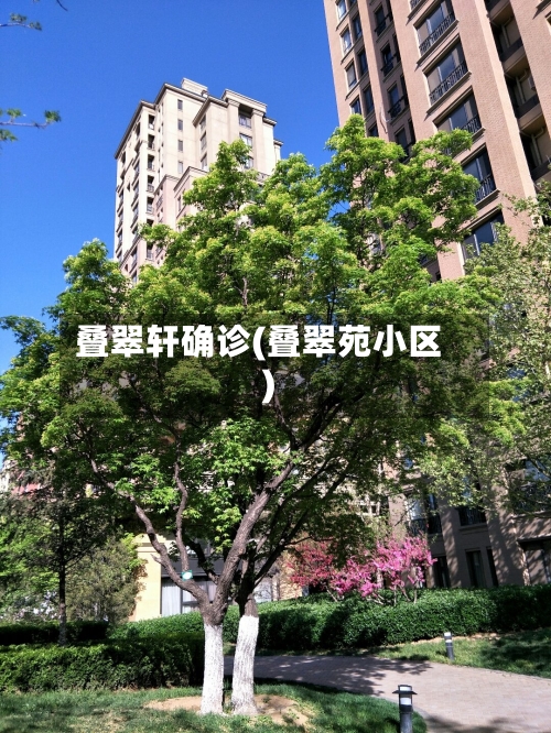 叠翠轩确诊(叠翠苑小区)-第2张图片