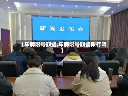 【车牌限号鹤壁,车牌限号鹤壁限行吗】-第3张图片