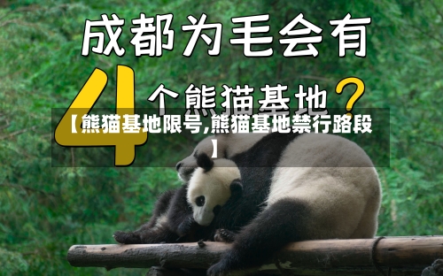 【熊猫基地限号,熊猫基地禁行路段】-第3张图片
