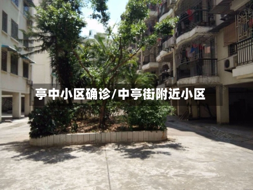 亭中小区确诊/中亭街附近小区-第3张图片