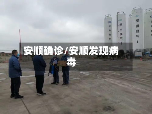安顺确诊/安顺发现病毒