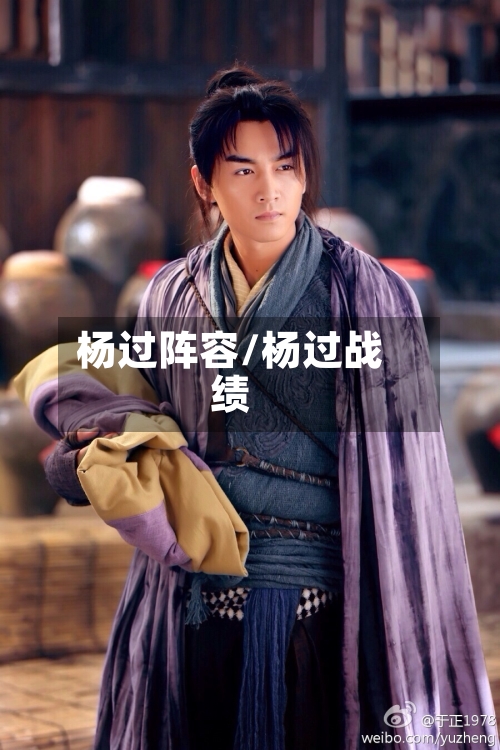 杨过阵容/杨过战绩-第2张图片
