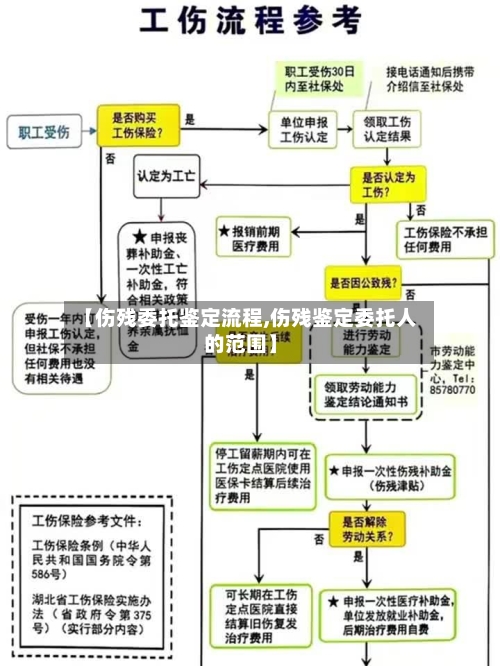 【伤残委托鉴定流程,伤残鉴定委托人的范围】