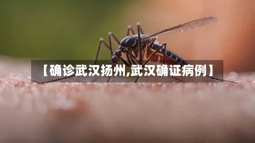 【确诊武汉扬州,武汉确证病例】