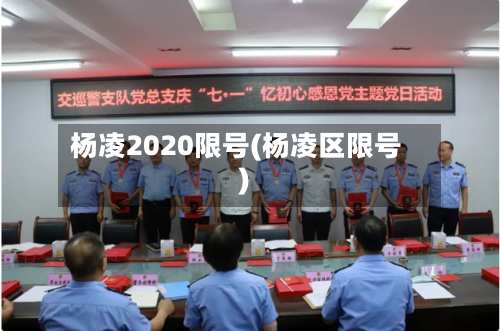 杨凌2020限号(杨凌区限号)