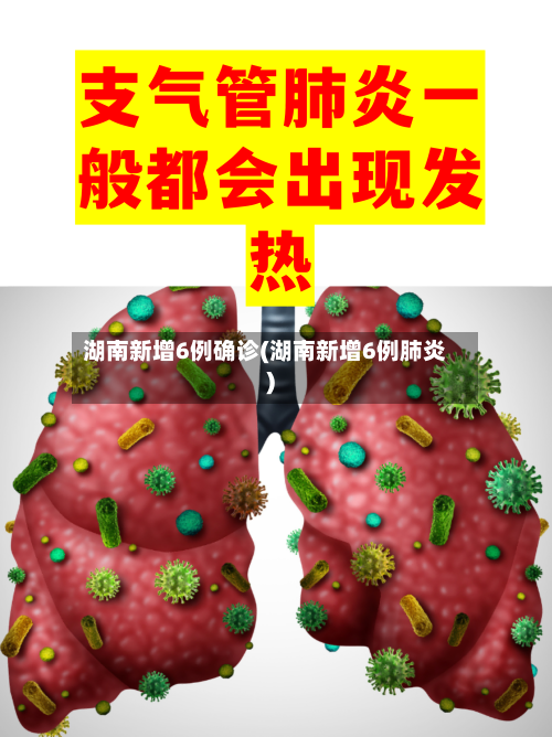 湖南新增6例确诊(湖南新增6例肺炎)-第2张图片