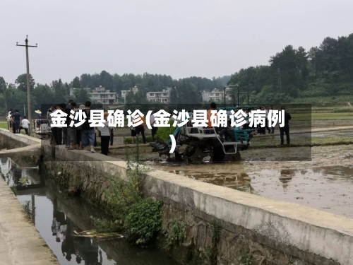 金沙县确诊(金沙县确诊病例)