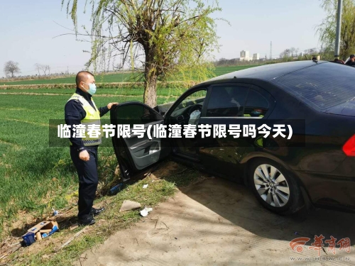 临潼春节限号(临潼春节限号吗今天)-第2张图片