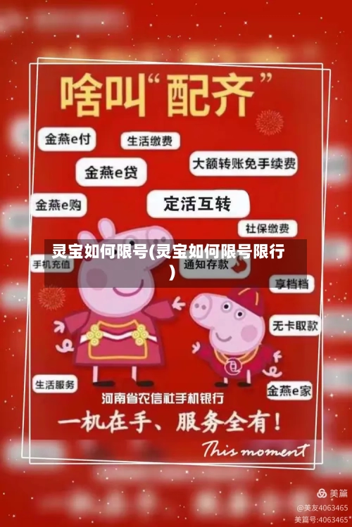 灵宝如何限号(灵宝如何限号限行)
