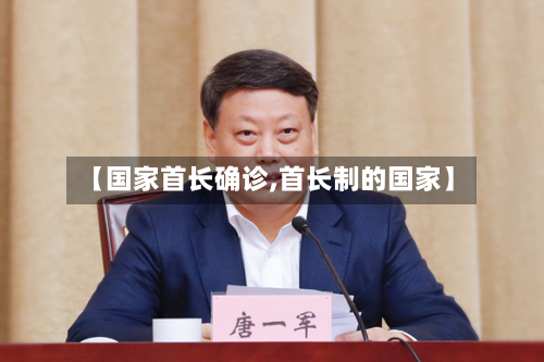 【国家首长确诊,首长制的国家】-第3张图片