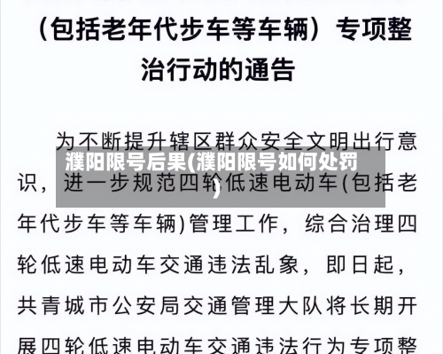 濮阳限号后果(濮阳限号如何处罚)-第3张图片