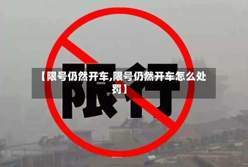 【限号仍然开车,限号仍然开车怎么处罚】-第3张图片