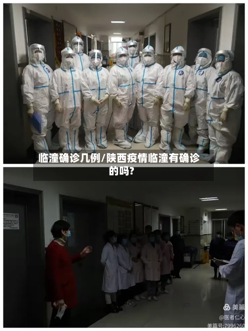 临潼确诊几例/陕西疫情临潼有确诊的吗?-第2张图片