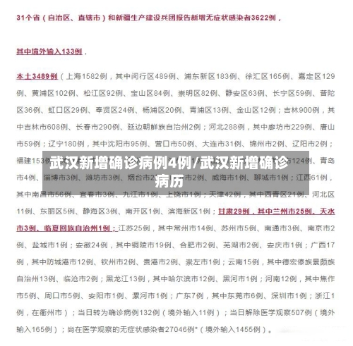 武汉新增确诊病例4例/武汉新增确诊病历