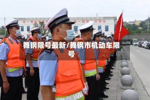 舞钢限号最新/舞钢市机动车限号-第2张图片