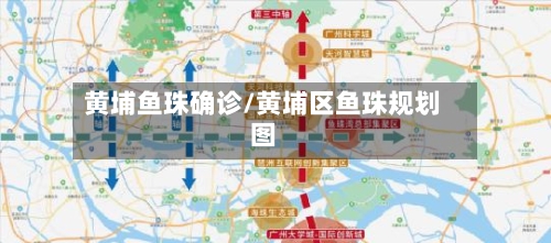 黄埔鱼珠确诊/黄埔区鱼珠规划图