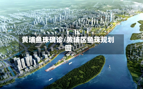 黄埔鱼珠确诊/黄埔区鱼珠规划图-第2张图片