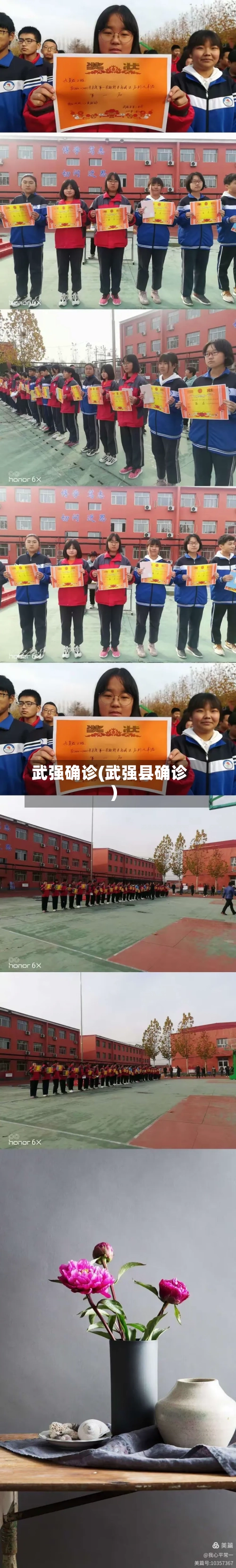 武强确诊(武强县确诊)-第2张图片