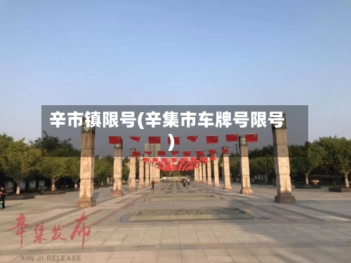 辛市镇限号(辛集市车牌号限号)-第2张图片