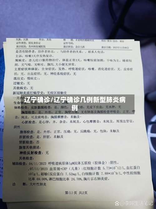 辽宁确诊/辽宁确诊几例新型肺炎病例-第2张图片