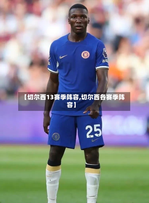 【切尔西13赛季阵容,切尔西各赛季阵容】-第2张图片
