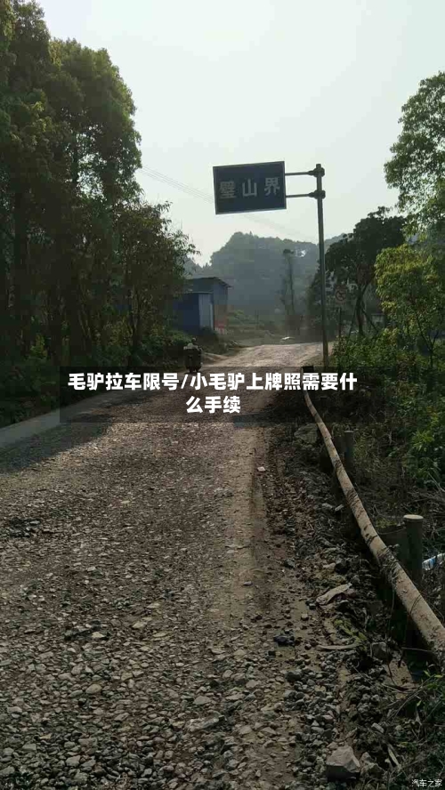 毛驴拉车限号/小毛驴上牌照需要什么手续-第2张图片