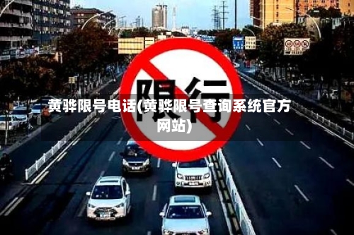 黄骅限号电话(黄骅限号查询系统官方网站)