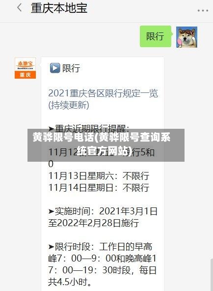 黄骅限号电话(黄骅限号查询系统官方网站)-第2张图片