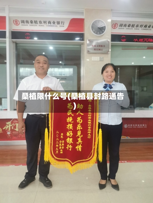 桑植限什么号(桑植县封路通告)