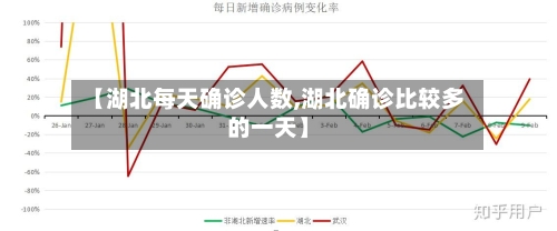 【湖北每天确诊人数,湖北确诊比较多的一天】-第3张图片