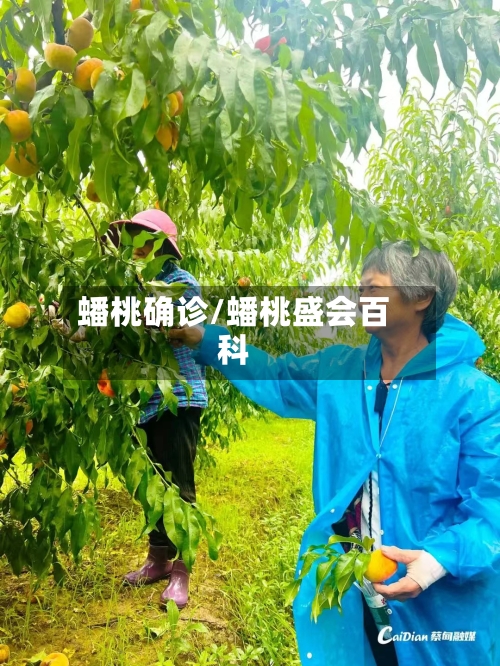 蟠桃确诊/蟠桃盛会百科
