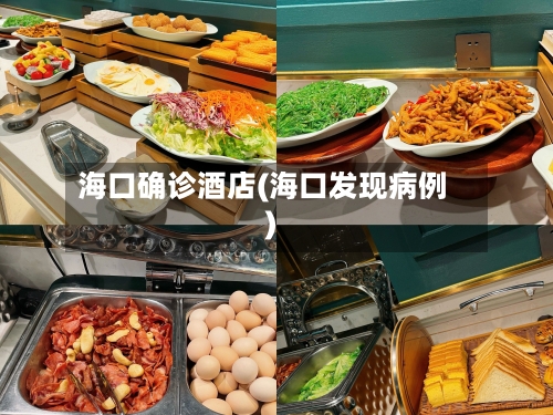海口确诊酒店(海口发现病例)-第2张图片