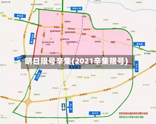 明日限号辛集(2021辛集限号)-第2张图片
