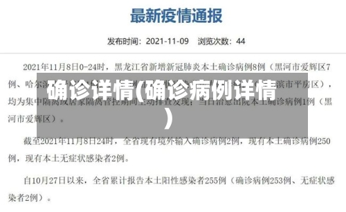 确诊详情(确诊病例详情)-第3张图片