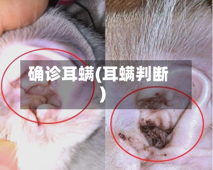 确诊耳螨(耳螨判断)
