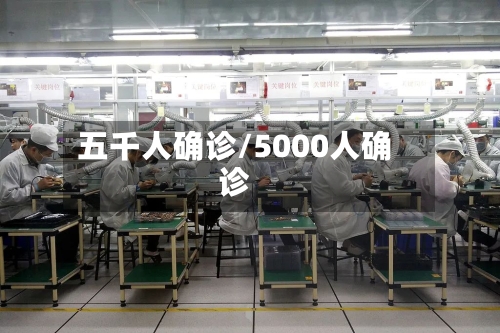 五千人确诊/5000人确诊-第2张图片