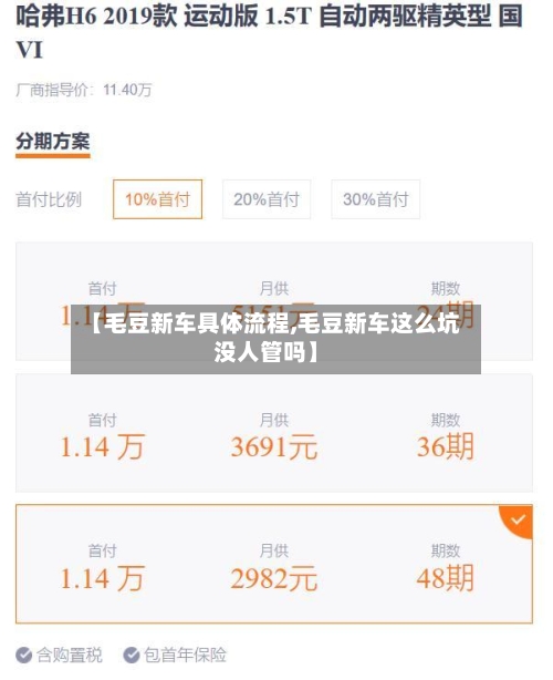 【毛豆新车具体流程,毛豆新车这么坑没人管吗】