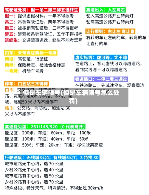 但是车辆限号(但是车辆限号怎么处罚)-第3张图片