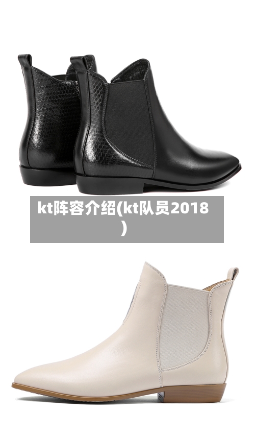 kt阵容介绍(kt队员2018)