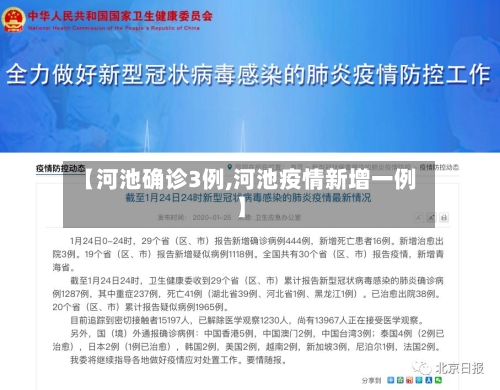 【河池确诊3例,河池疫情新增一例】-第2张图片